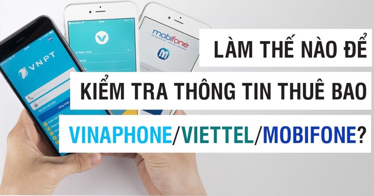 Lưu Ý Khi Kiểm Tra Và Cập Nhật SIM Chính Chủ